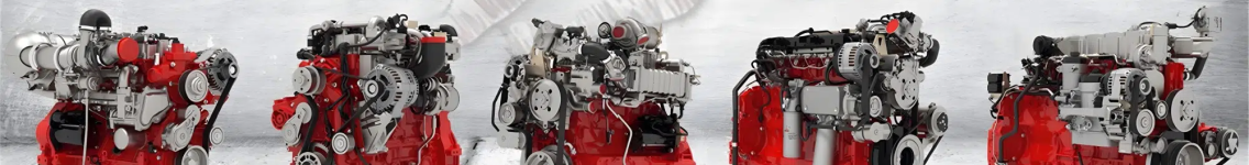 deutz large